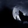 Are Children Like Werewolves? Does the Moon Alter Moods