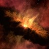 From “Black Hole Seeds" Monster Black Holes Are Born