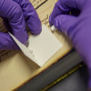 Resolving The Mystery of Uterine Vellum Used in First Pocket Bibles