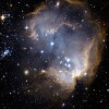 Truly Giant Stars at the Heart of Vulpecula OB1 and 80,000 Suns' Worth of Dust