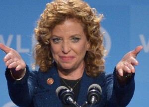 DNC Chair Wasserman Schultz Says Sit-In Strategy is to Force a Vote in a Congress on Recess