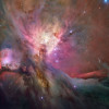 The Secret Life of the Orion Nebula