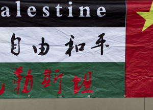 The Interesting Support for the Chinese Position