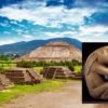 Pre-Hispanic Mexican Civilization May Have Bred and Managed Rabbits and Hares