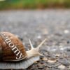 Unraveling the Secular Stagnation Story