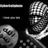 How powerful is Islamic State’s ‘United Cyber Caliphate’?