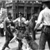 Police Brutality against Blacks Rooted in US Foreign Policy