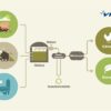 Protein Feed And Bioplastic From Farm Biogas, Landfills Or Wastewater