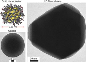 Researchers Discover Self-Assembling 2D And 3D Materials