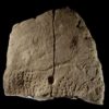 38,000 Year Old Engraved Image Discovered, Earliest Graphic Image Found In Western Europe