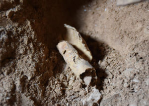 Archaeologists Find 12th Dead Sea Scrolls Cave