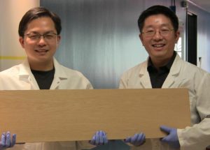 Super Wood Stronger Than Steel, Tougher than Titanium