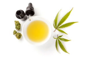 CBD marijuana oil extract in medicine dropper with marijuana leafs, isolated on white background. Medical marijuana, herbal remedy.
