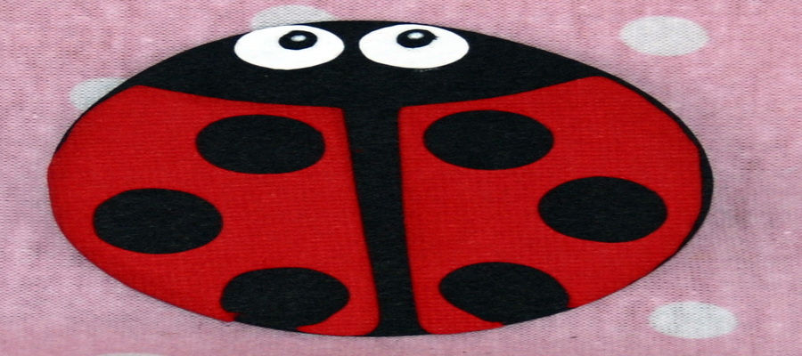 Irrational Fear that Ladybugs Cause Painful Deafness is Weirdly Related ...